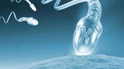 2026做第三代试管婴儿助孕什么价格