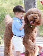 2026北京做第三代试管婴儿需要多少钱？附北京三代试管费用明细