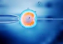 2026天津试管婴儿卵子费参考，推荐天津比较好的试管婴儿医院做试管