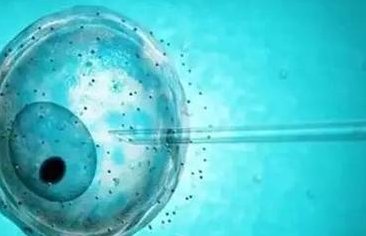 2026四川成都十大助孕公司行榜公布，您愿意信任哪一家