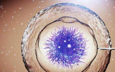 2026云南十大正规助孕机构大盘点，想预约试管的快来！